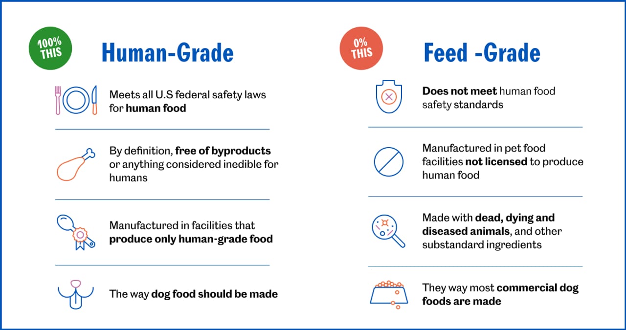 Code-Graded vs Model-Graded vs Human-Graded Evals — diagram