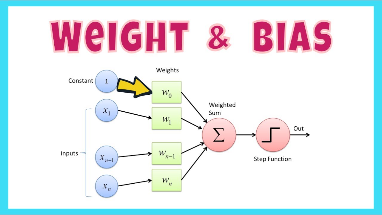 Parameters & Weights — illustration