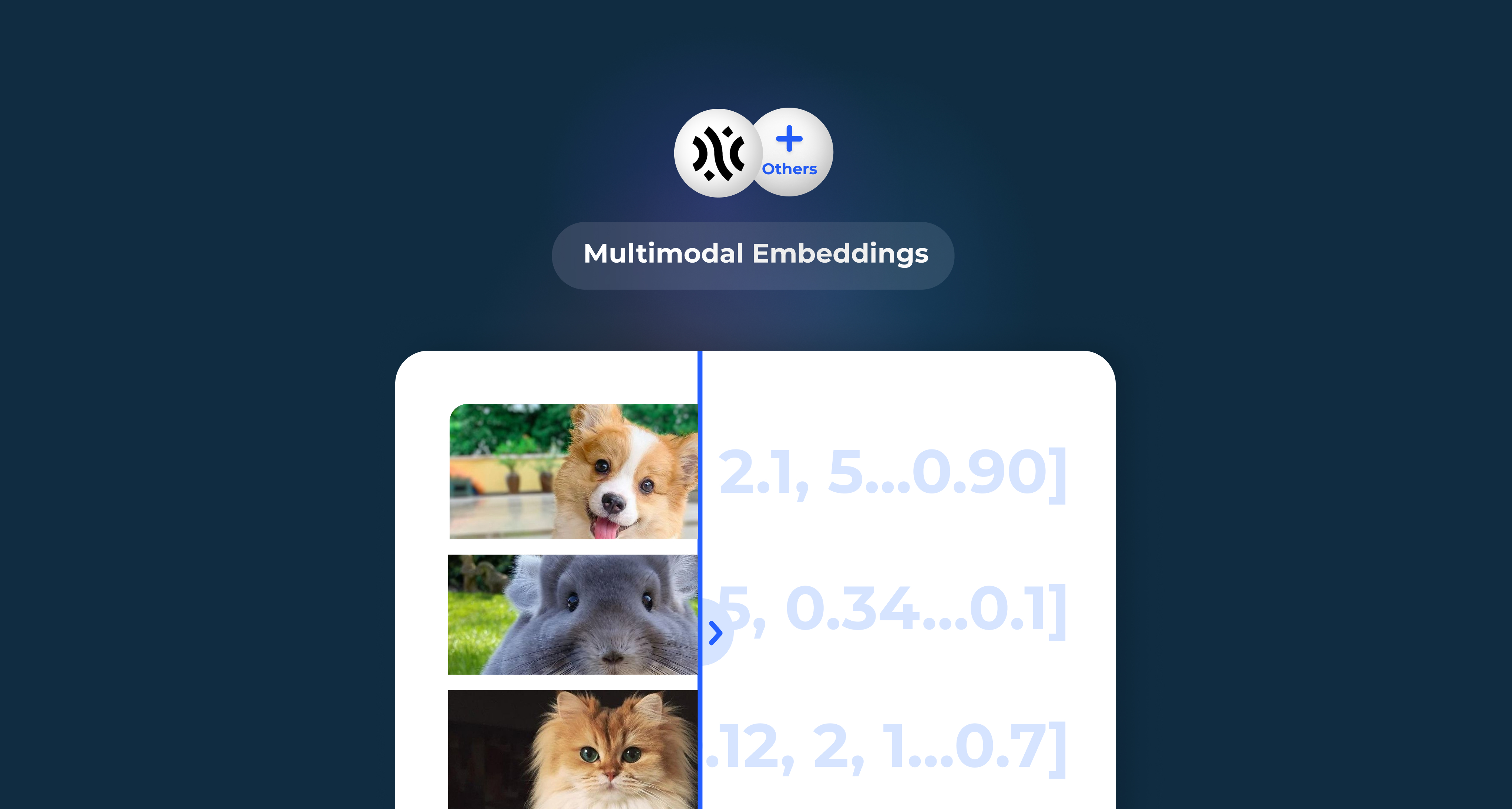 Multimodal Embeddings — illustration