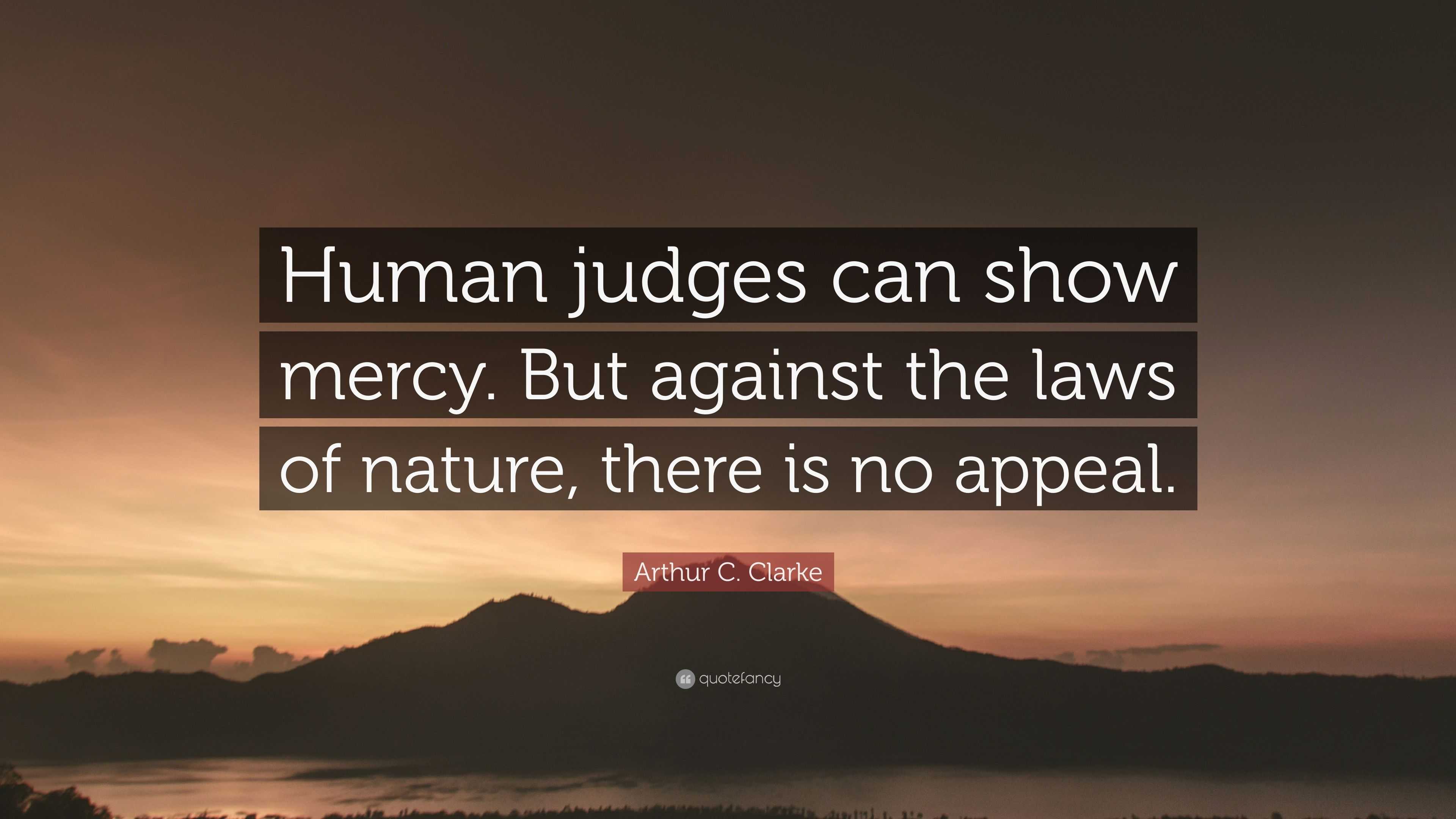 Judge vs Human Agreement — illustration