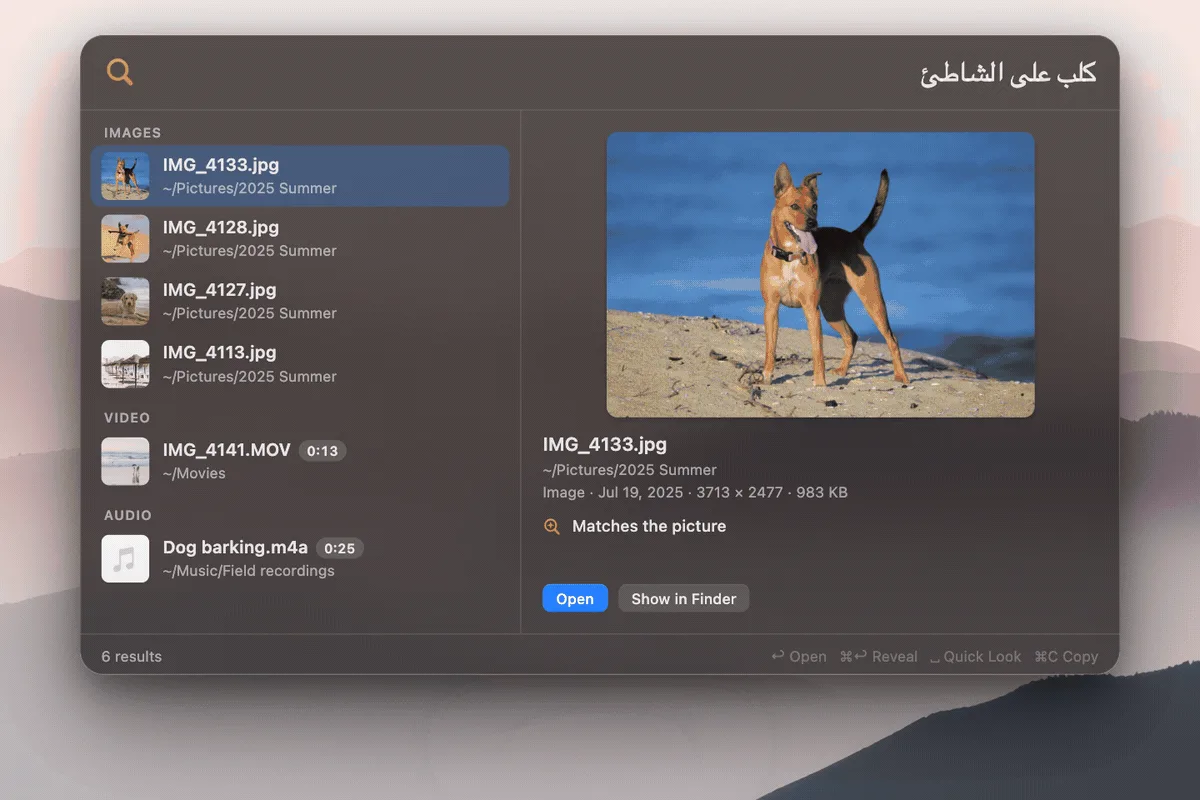 DigUp search panel with an Arabic query for a dog on the beach, returning beach photos of dogs, a video and a dog-barking recording